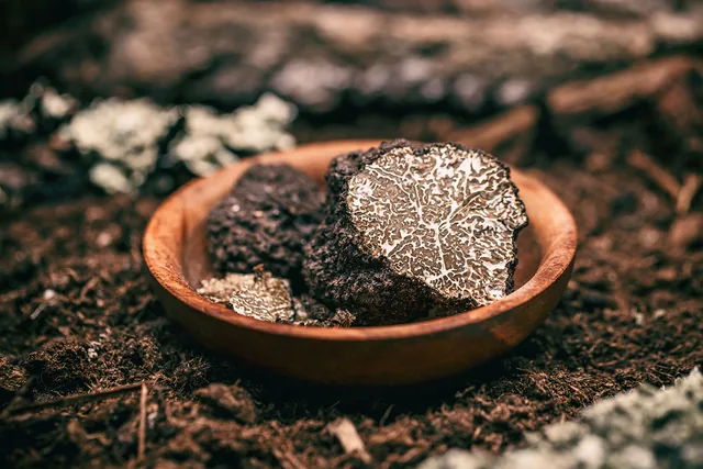 Fresh black truffle
