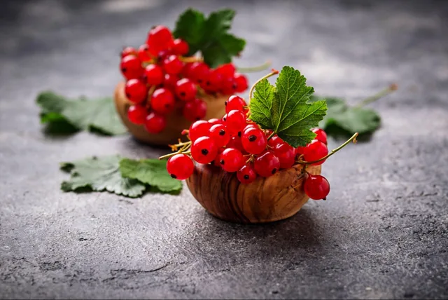Fresh redcurrants