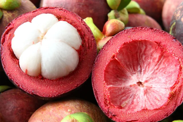 Fresh mangosteen