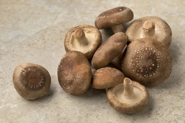 Fresh shiitake